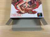 Princess Maker Legend of Another World BOXED SNES Super Famicom Japan - UA4947