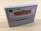 Princess Maker Legend of Another World BOXED SNES Super Famicom Japan - UA4947