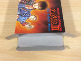 ua6654 Double Dragon 3 BOXED NES Famicom Japan