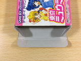 ua7208 Hame Pane Tokyo Mew Mew BOXED GameBoy Advance Japan