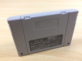 UA6307 Record of Lodoss War Lodoss Tou Senki BOXED SNES Super Famicom Japan
