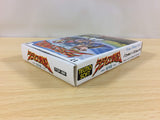 ua8121 Radia Senki Reimeihen BOXED NES Famicom Japan