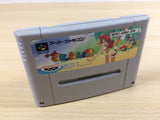 Super Gussun Oyoyo 2 BOXED SNES Super Famicom Japan - UA6314