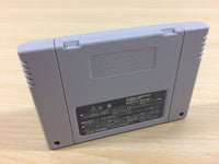 ua4356 Record of Lodoss War Lodoss Tou Senki BOXED SNES Super Famicom Japan