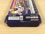 UA4461 Super Ghouls'n Ghosts Chou Makaimura R BOXED GameBoy Advance Japan