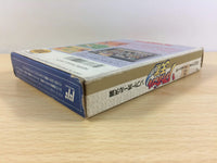 DD9867 Dusty Diamond's All-Star Softball Tengoku BOXED NES Famicom Japan