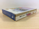 DD9867 Dusty Diamond's All-Star Softball Tengoku BOXED NES Famicom Japan