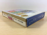 DD9867 Dusty Diamond's All-Star Softball Tengoku BOXED NES Famicom Japan