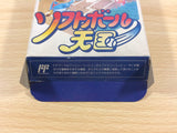 DD9867 Dusty Diamond's All-Star Softball Tengoku BOXED NES Famicom Japan