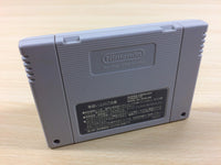 UA5791 Princess Minerva BOXED SNES Super Famicom Japan
