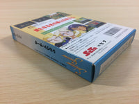 ua3170 Silva Saga BOXED NES Famicom Japan