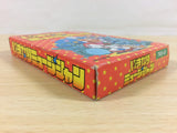 Ikinari Musician BOXED NES Famicom Japan - UA4750