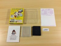 ua8897 Arle no Bouken Mahou no Jewel Puyo Puyo BOXED GameBoy Game Boy Japan