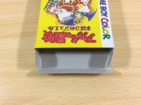 ua8897 Arle no Bouken Mahou no Jewel Puyo Puyo BOXED GameBoy Game Boy Japan