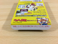 ua8897 Arle no Bouken Mahou no Jewel Puyo Puyo BOXED GameBoy Game Boy Japan
