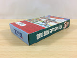 Daruma Doujou Dharma Doujyo BOXED SNES Super Famicom Japan - UA8170