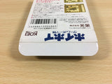 Stop That Roach! Hoi Hoi BOXED GameBoy Game Boy Japan - UA3337