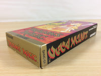 ua6735 Dragon's Magic Lair BOXED SNES Super Famicom Japan