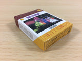 ua4108 The Mysterious Murasame Castle BOXED GameBoy Advance Japan
