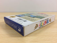 ua6898 Blodia Land Puzzle Quest BOXED NES Famicom Japan