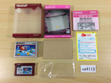 Clu Clu Land BOXED GameBoy Advance Japan - UA4113