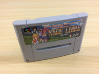 ua7298 Nage Libre Seijaku no Suishin BOXED SNES Super Famicom Japan