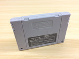 Janyuuki Gokuu Randa Mahjong BOXED SNES Super Famicom Japan - UA7490