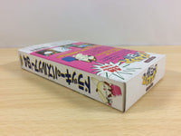 ua7320 Dolucky no Puzzle Tour 94 BOXED SNES Super Famicom Japan