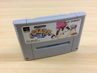 ua7320 Dolucky no Puzzle Tour 94 BOXED SNES Super Famicom Japan