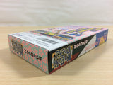 Kabuki Rocks BOXED SNES Super Famicom Japan - UA6420