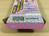 Kabuki Rocks BOXED SNES Super Famicom Japan - UA6420