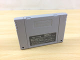 UA8430 Yuujin no Furi Furi Girls BOXED SNES Super Famicom Japan