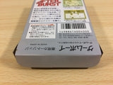 After Burst BOXED GameBoy Game Boy Japan - UA6960